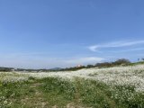 私を幸せにしよう