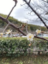 目の前のことに心を込めて