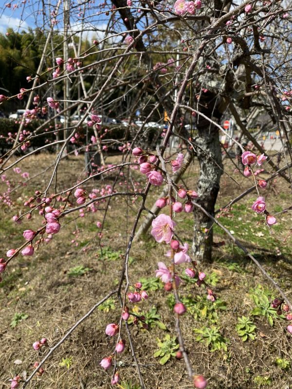 手放すこと 始めること