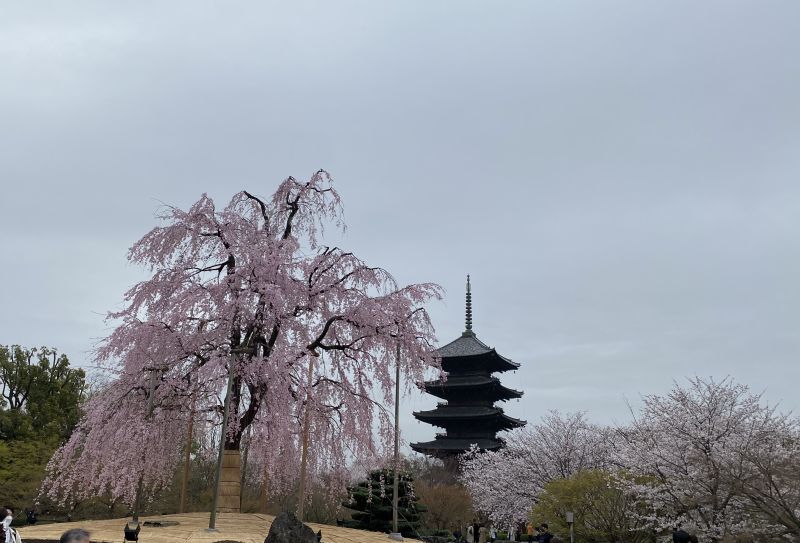 今年のメッセージ✨