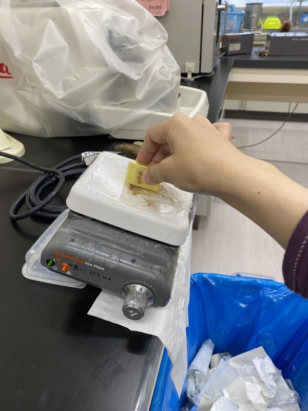 自作「パラ太郎」